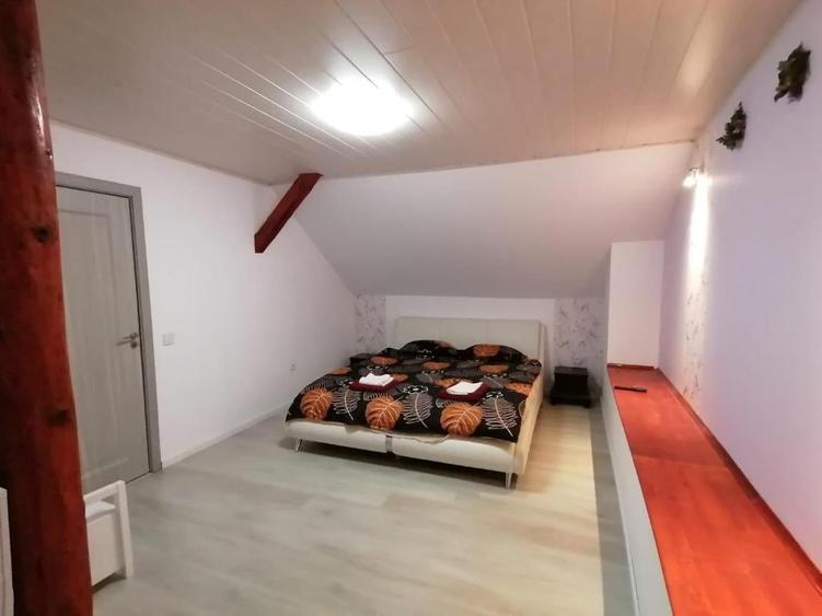 Apartament cu 3 camere - curte cu foisor + spatiu parcat masina - 6