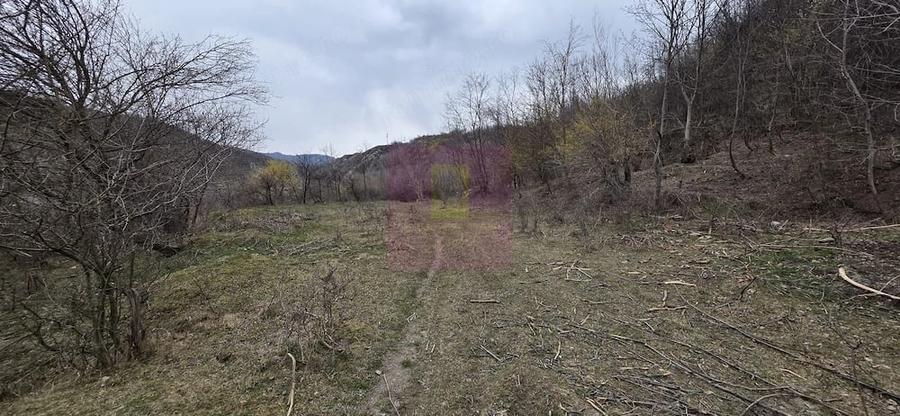 Teren de 1006 mp, în Brebu