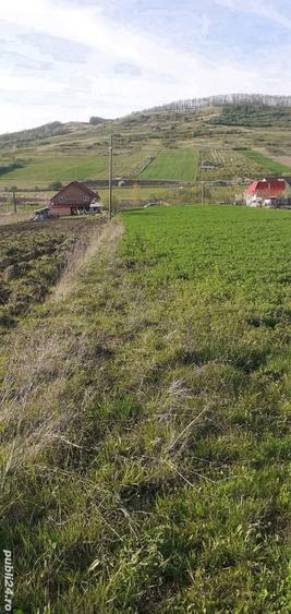Teren de 2600 mp, în Mirșid