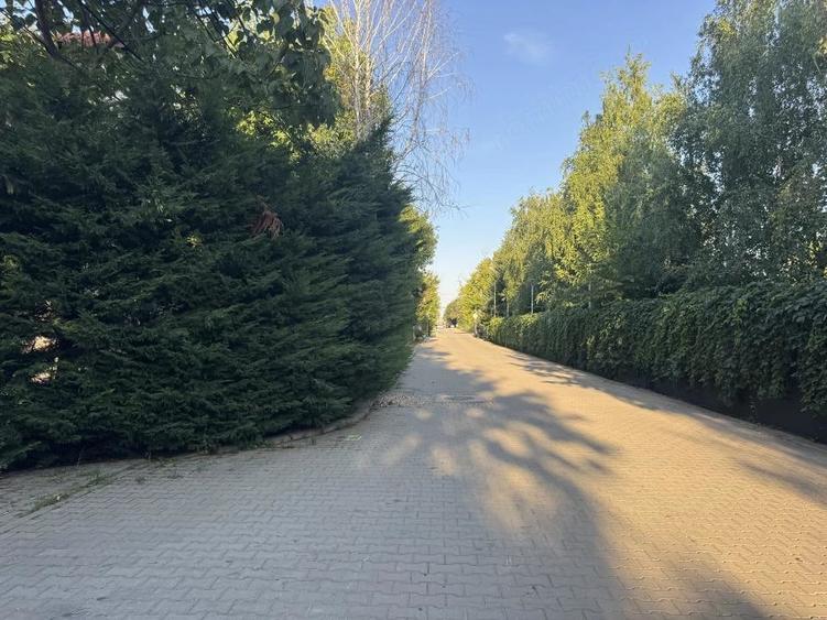 Inchiriere vila pentru birouri - 17
