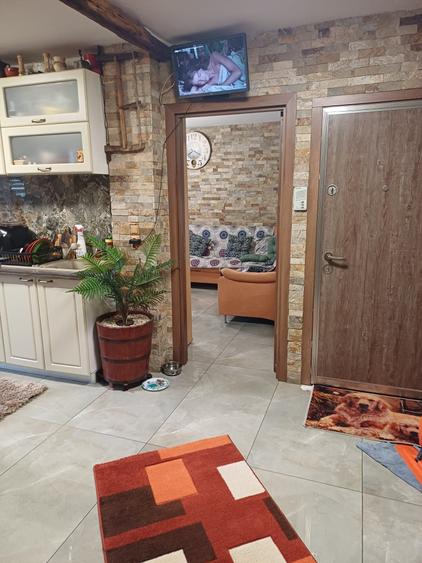 Apartament cu 2 camere decomandat în Rovine