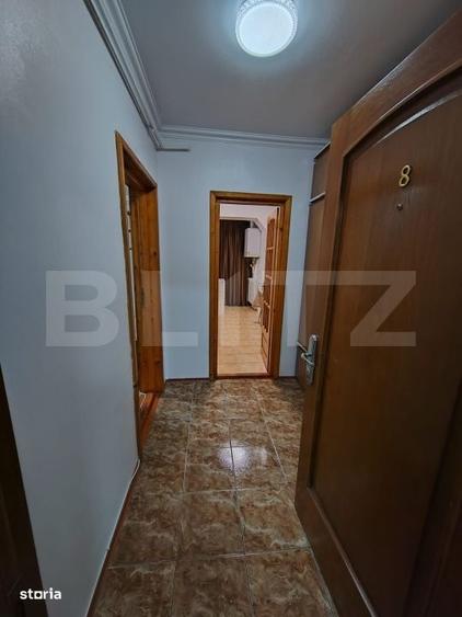 Apartament cu 2 camere semidecomandat în Roșu