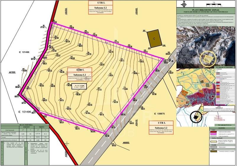 Teren Construcții intravilan de 4600 mp, în Cisnădioara