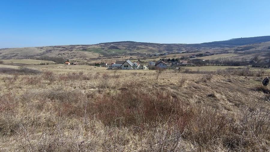 Teren Construcții intravilan de 1253 mp, în Borhanci