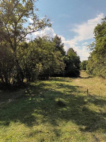 Teren de 5000 mp, în Central