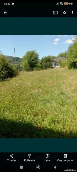 Teren de 6800 mp, în Moisei