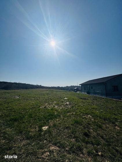 Teren Intravilan 1000 mp Dealuri - Oradea - 3