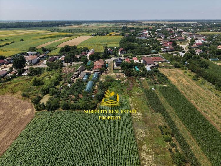 Teren Construcții intravilan de 2700 mp, în Urziceanca