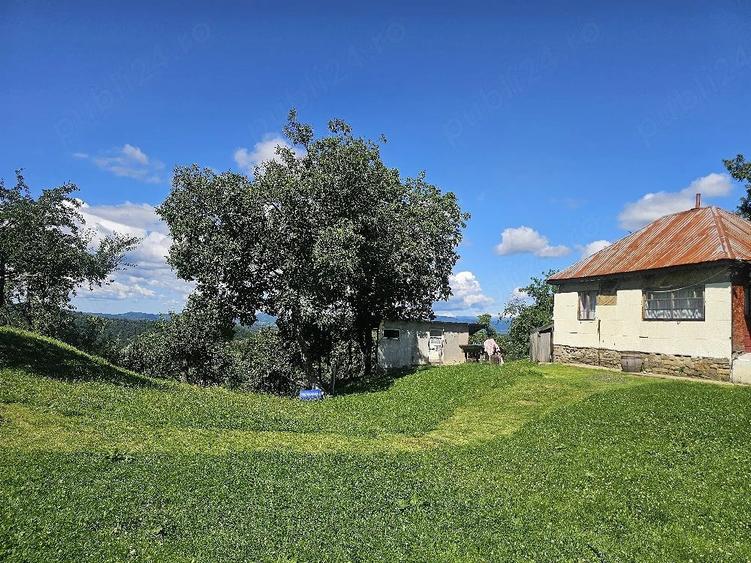 Teren de 9000 mp, în Șotrile