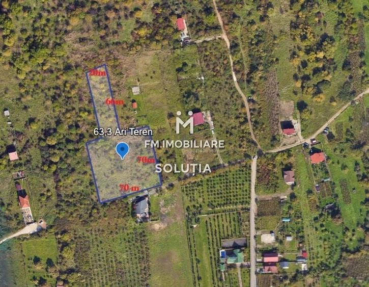 Teren agricol extravilan de 6330 mp, în Valea Borcutului