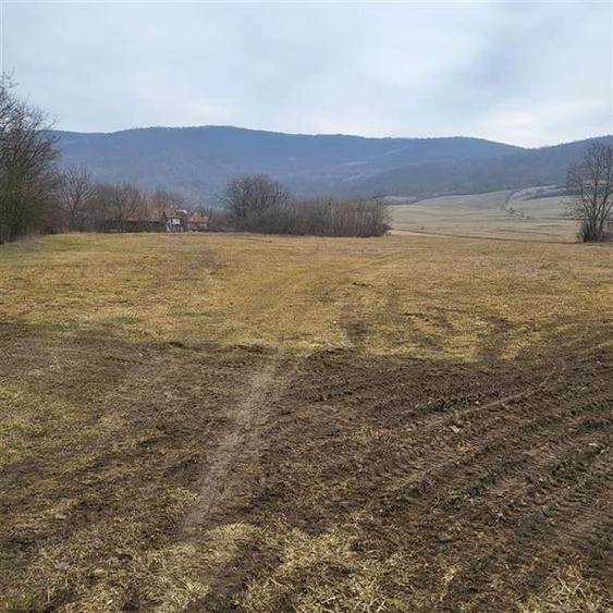 Teren Construcții intravilan de 2200 mp, în Mera