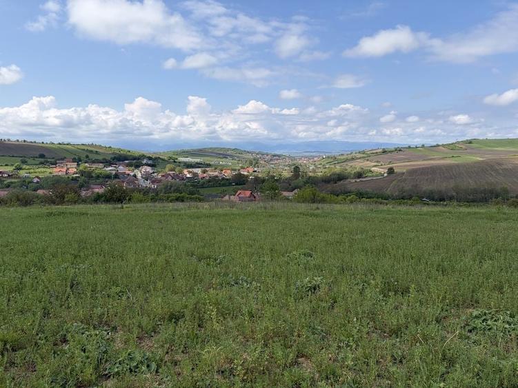 Teren de 2500 mp, în Șura Mare