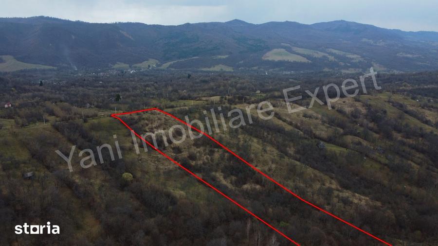 Teren de 14328 mp, în Nucșoara