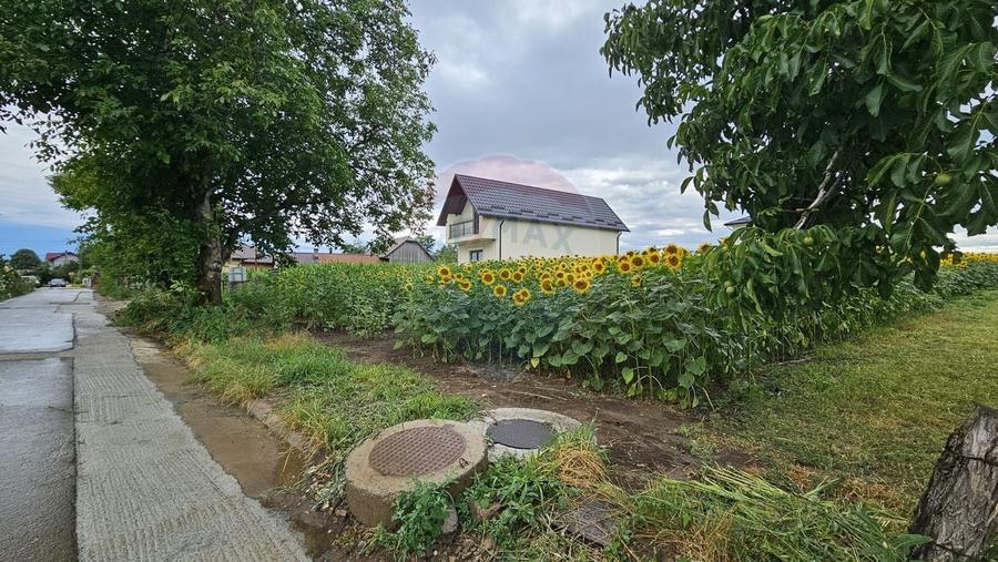Teren Construcții intravilan de 2600 mp, în Lisaura