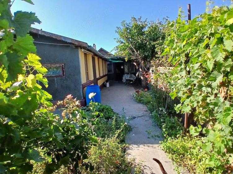 Casă cu Teren 1470 Mp în Tătaru