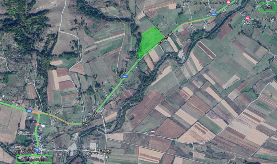 Teren agricol intravilan de 60000 mp, în Copalnic-Mănăștur