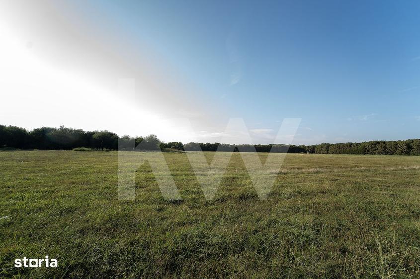 Teren 600 mp Aerodrom Magura | Oportunitate investitie 20.400 - 4
