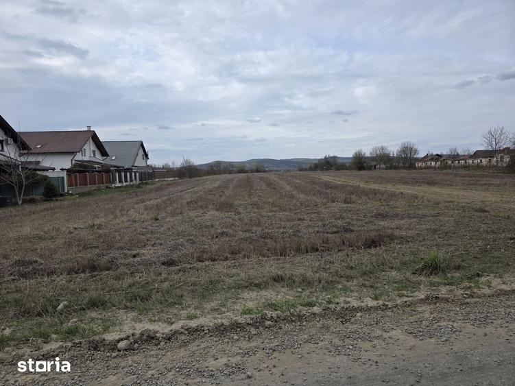Teren de 5077 mp, în Sângeorgiu de Mureș