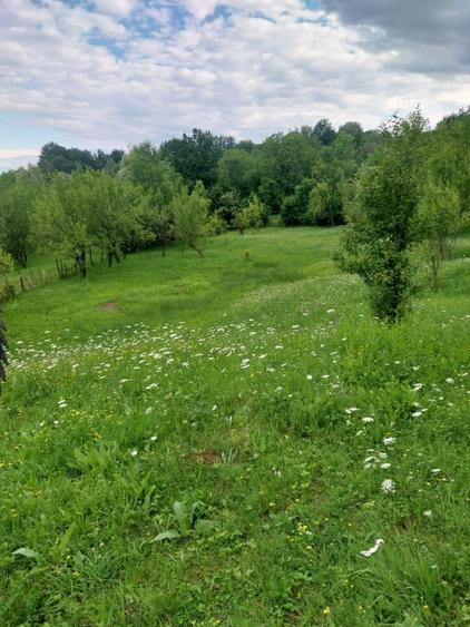 Teren de 3300 mp, în Talea