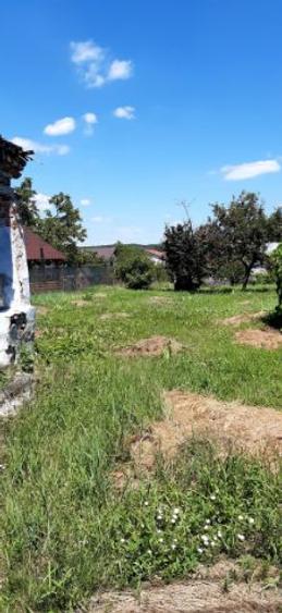 Teren Construcții intravilan de 1100 mp, în Geamăna