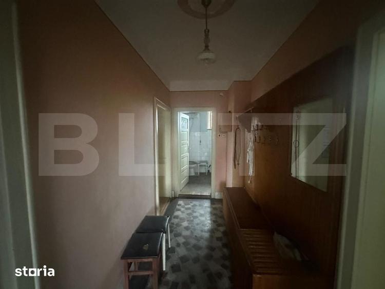 Casă cu 4 camere cu Teren 6197 Mp în Micula
