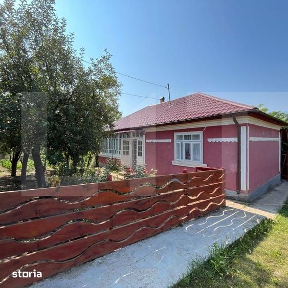 Casă cu 4 camere cu Teren 2853 Mp în Cotu