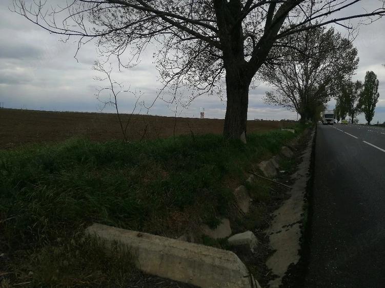 Teren de 24500 mp, în Bogdan Vodă