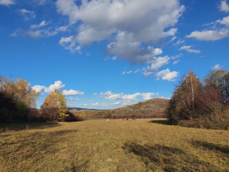 Teren Construcții intravilan de 9000 mp, în Bran