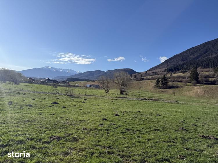 Teren de 1269 mp, în Plaiul Foii