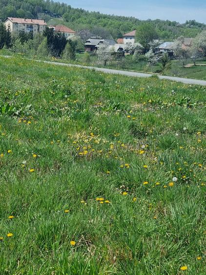 Teren de 13000 mp, în Râșca