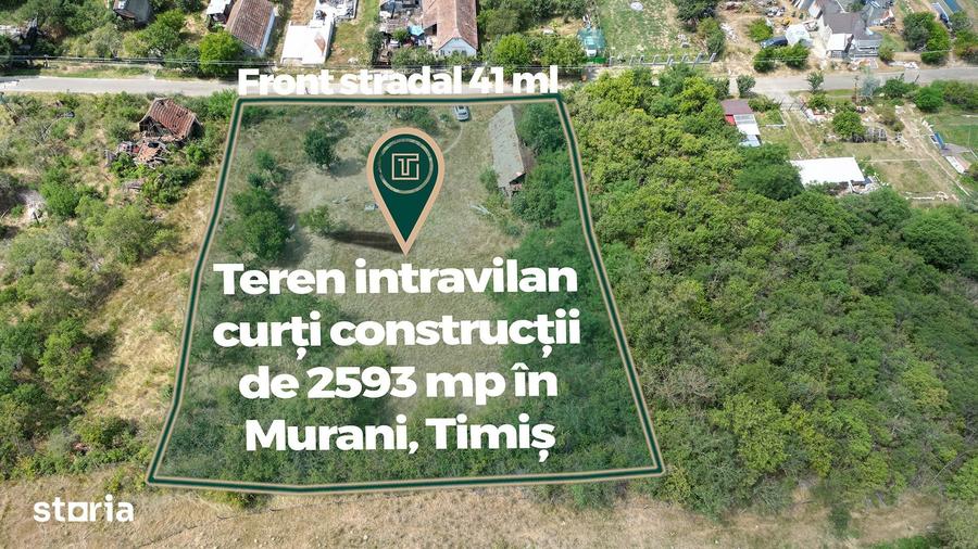 Teren de 2593 mp, în Pișchia