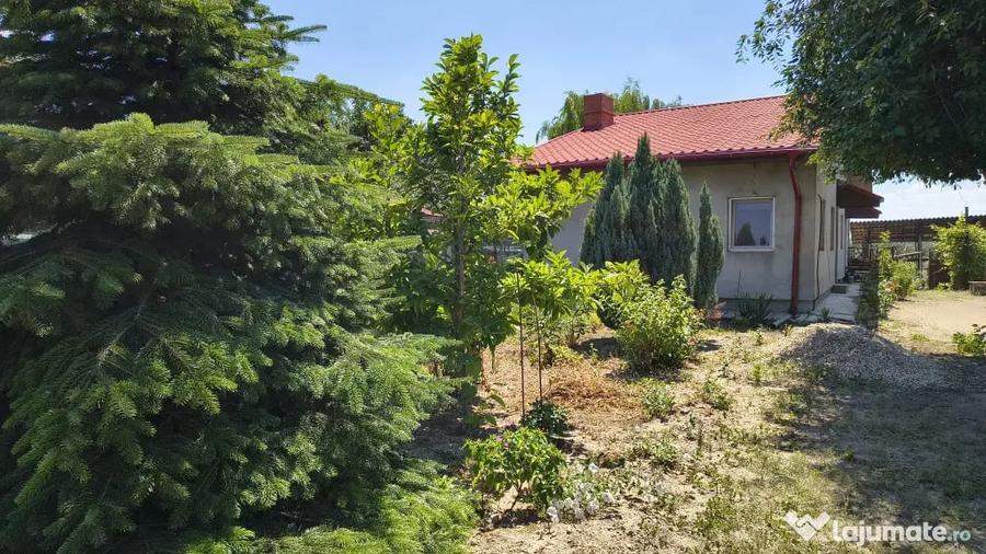 Casă cu 2 camere în Jilava