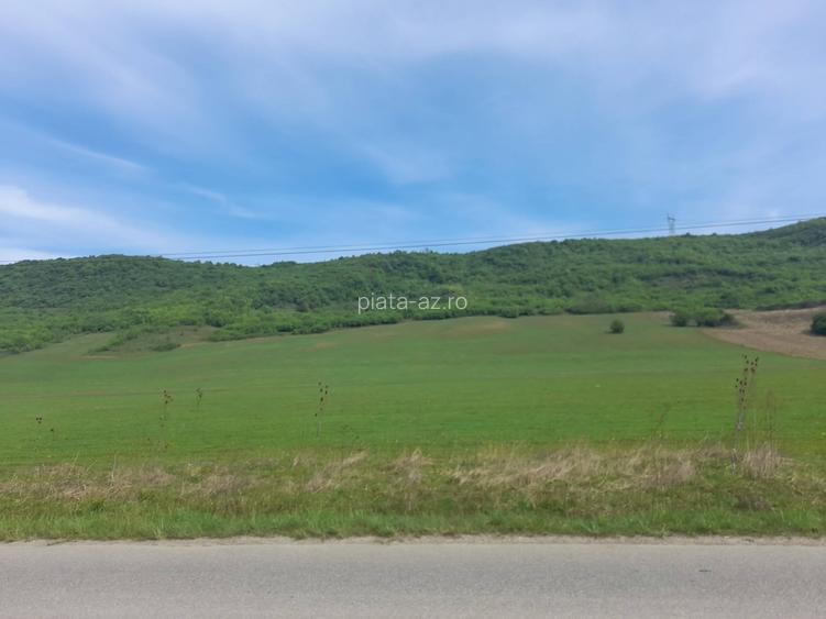 Teren extravilan de vanzare