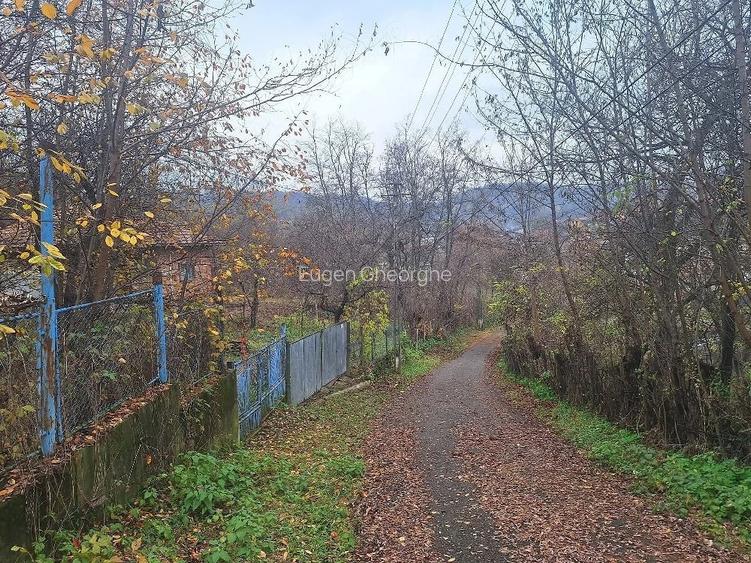 casa 3 camere in Tei?ani Prahova