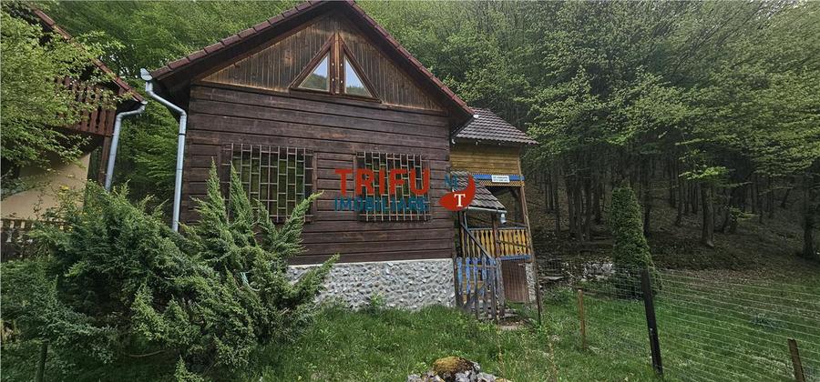 Casă individuală cu 4 camere cu Teren 891 Mp în Ighiel