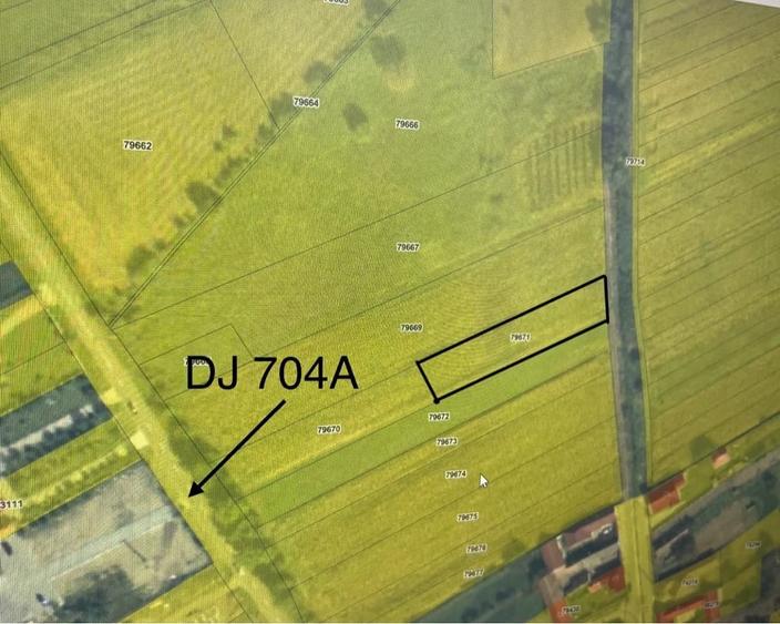 Teren de 1450 mp, în Pianu