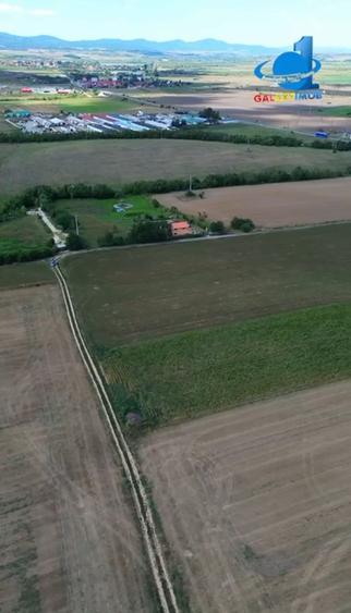 Teren intravilan de 1633 mp, în Feldioara