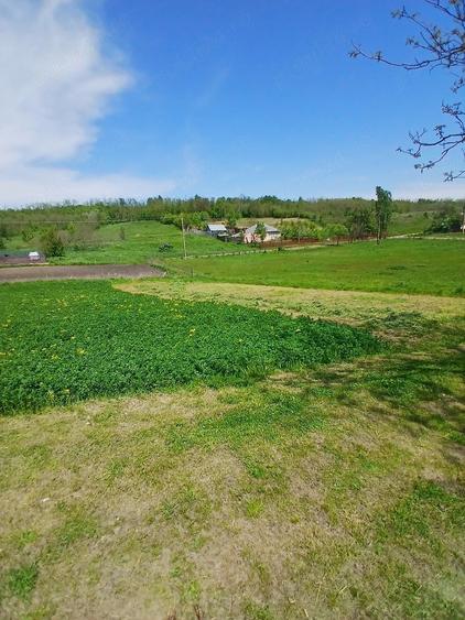 Casă cu Teren 7200 Mp în Central