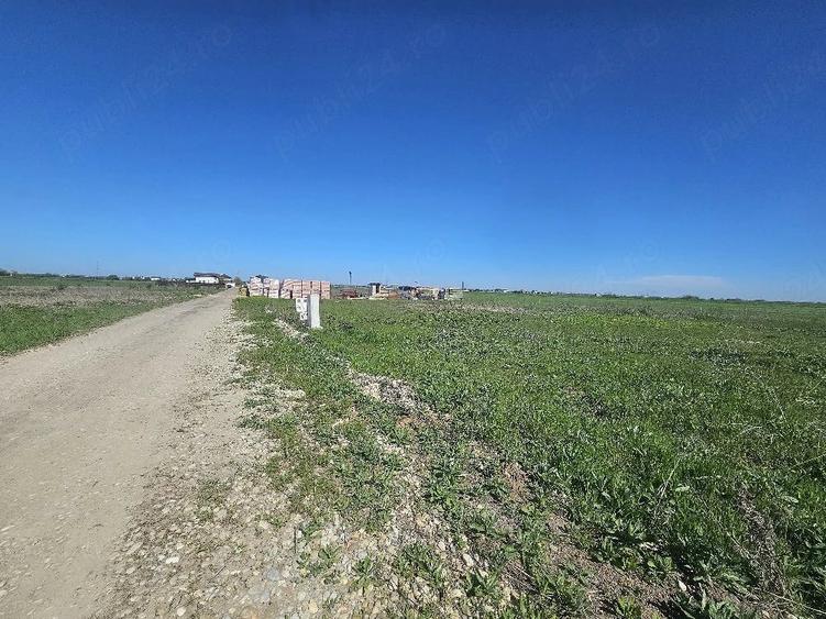 Teren de 482 mp, în Berceni