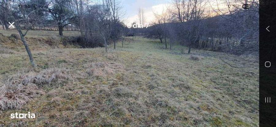 Teren de 50 mp, în Iara