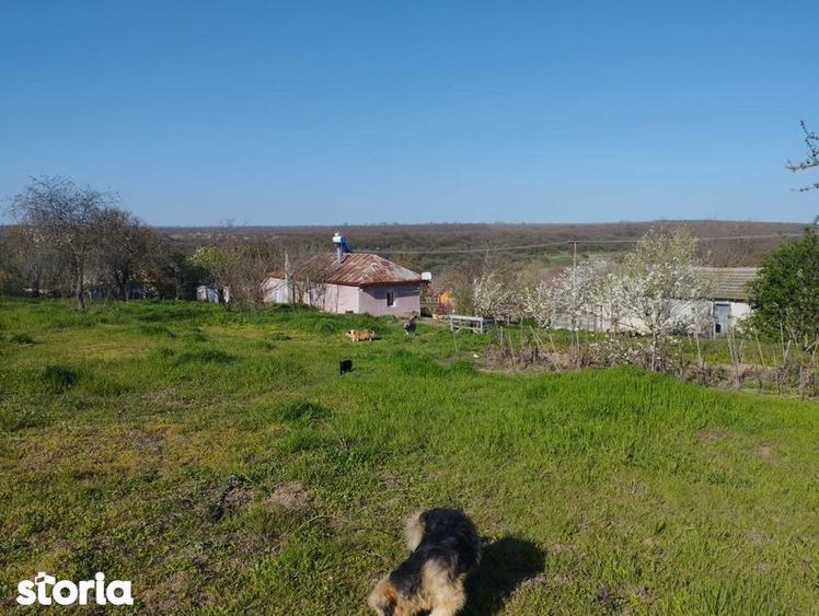 casa de vanzare imob. - 7