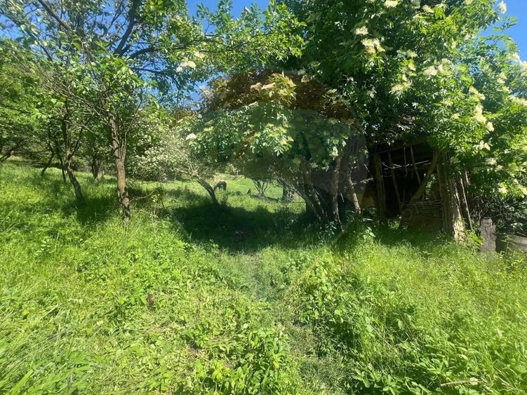 Casă cu Teren 1000 Mp în Periferie