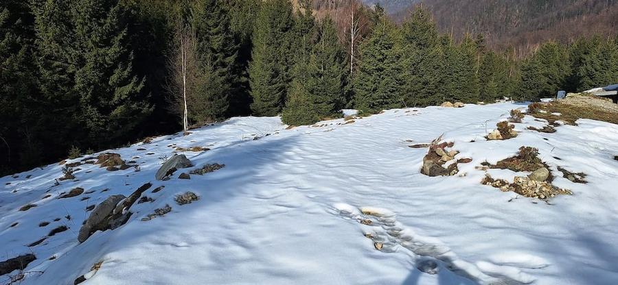Teren de 300 mp, în Râu de Mori