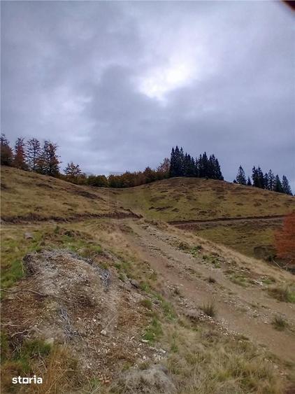 Teren de 2000 mp, în Curățele