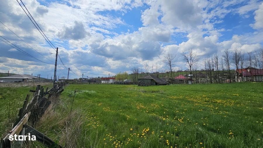Teren de 2600 mp, în Copou