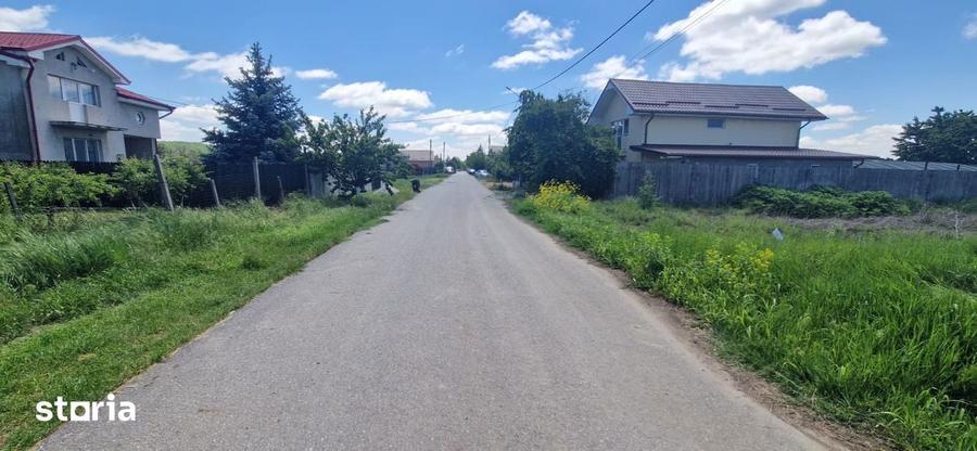 Teren de 1181 mp, în Curtișoara