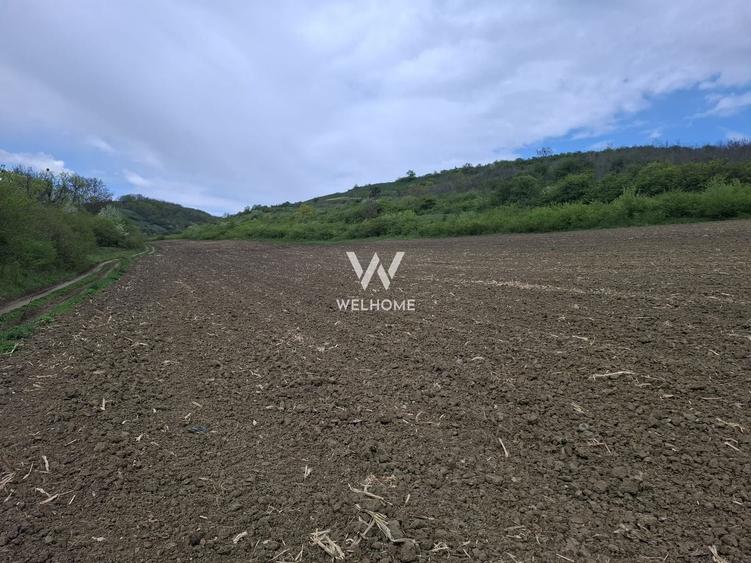 Teren agricol extravilan de 18175 mp, în Gușterița
