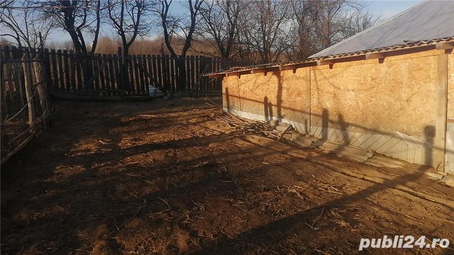 Casă cu 4 camere cu Teren 2000 Mp în Scurta
