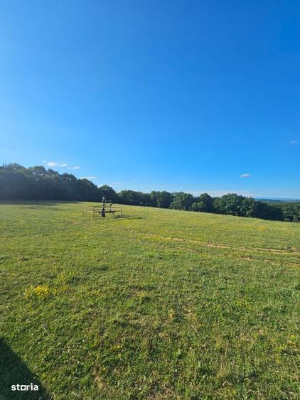 Teren extravilan, panorama deosebita intre Corunca si Bozeni,16.900 mp - 1