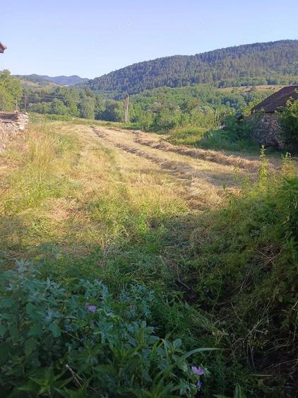Teren de 1500 mp, în Central